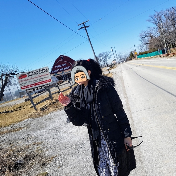 Black puffer Jacket (has a faux fur collar that I don't wear) can be buttoned. - Picture 6 of 6